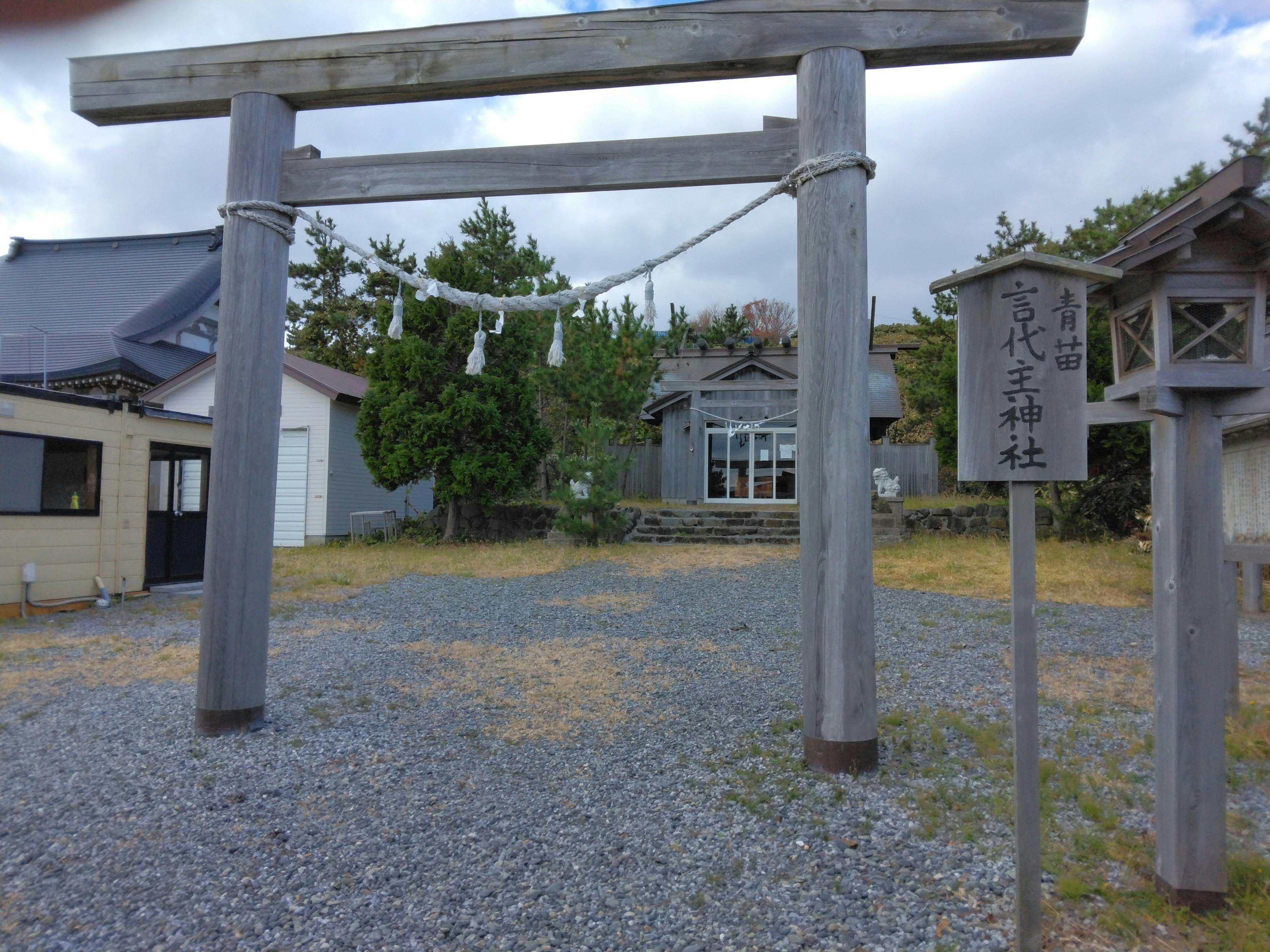 活動報告。伊勢神宮のツキヨミさんを後世に残すため、保護猫活動の運営