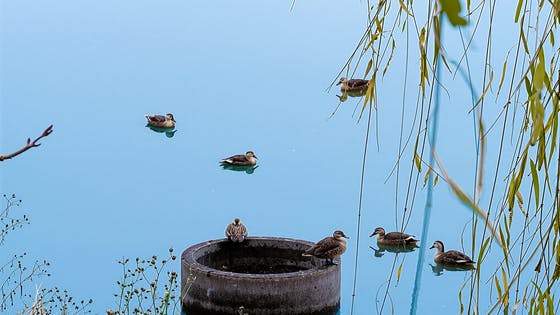 画像が削除されました