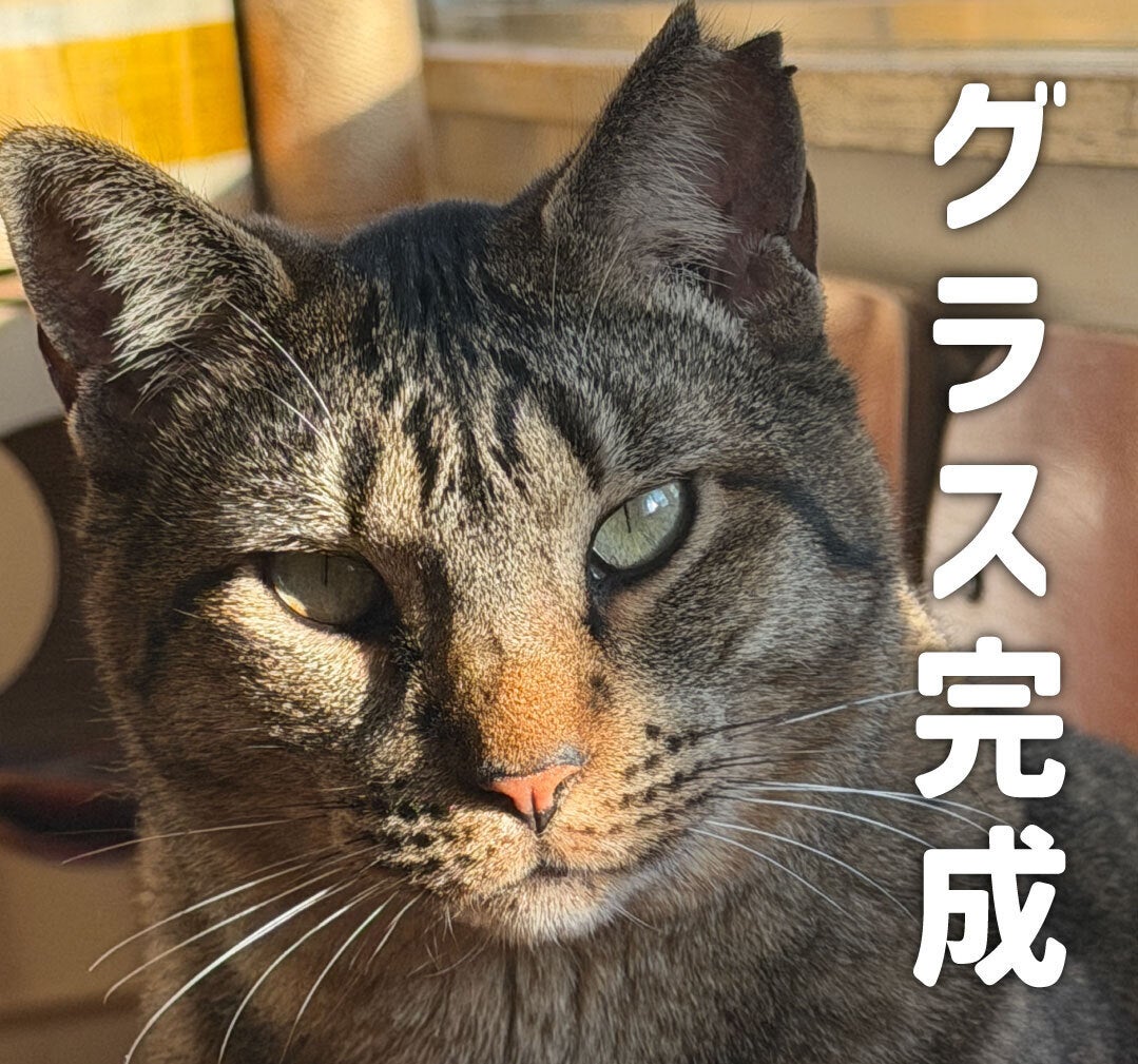グラスが届きました！ - CAMPFIRE (キャンプファイヤー)