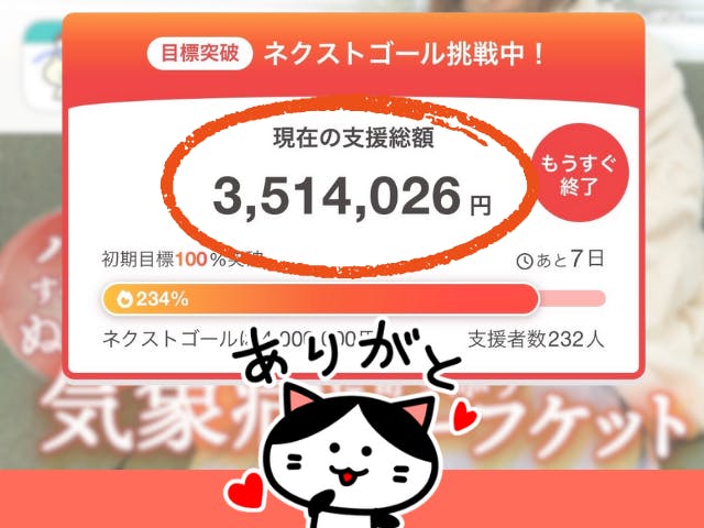 【専用】⭐︎ご希望金額コメントください！ さん プロジェクト終了間近！！】350万円達成のご報告と、ネクストゴール400