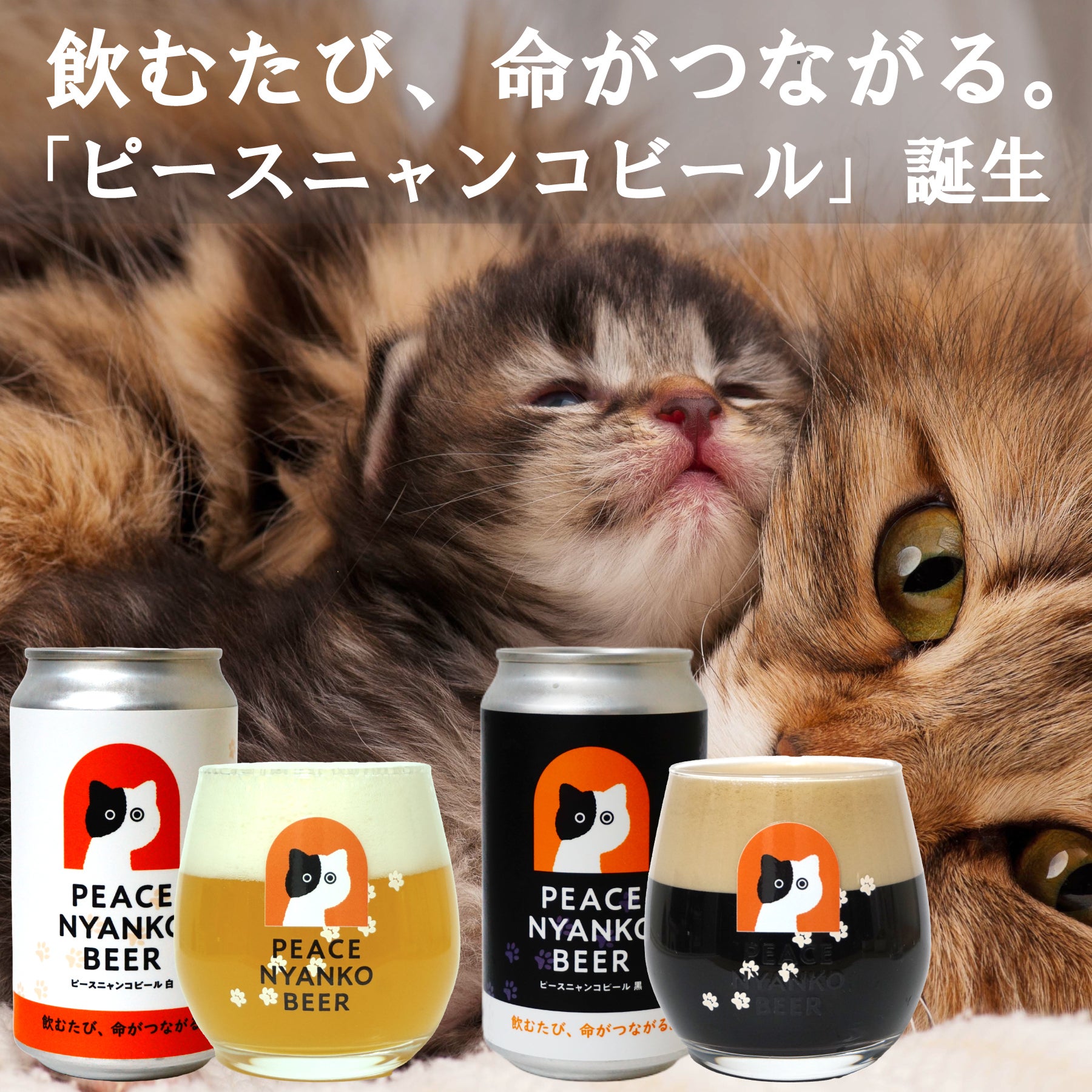 にゃんぴす 本日開始】ピースニャンコビール、ついにスタート！早めの配送をご希望