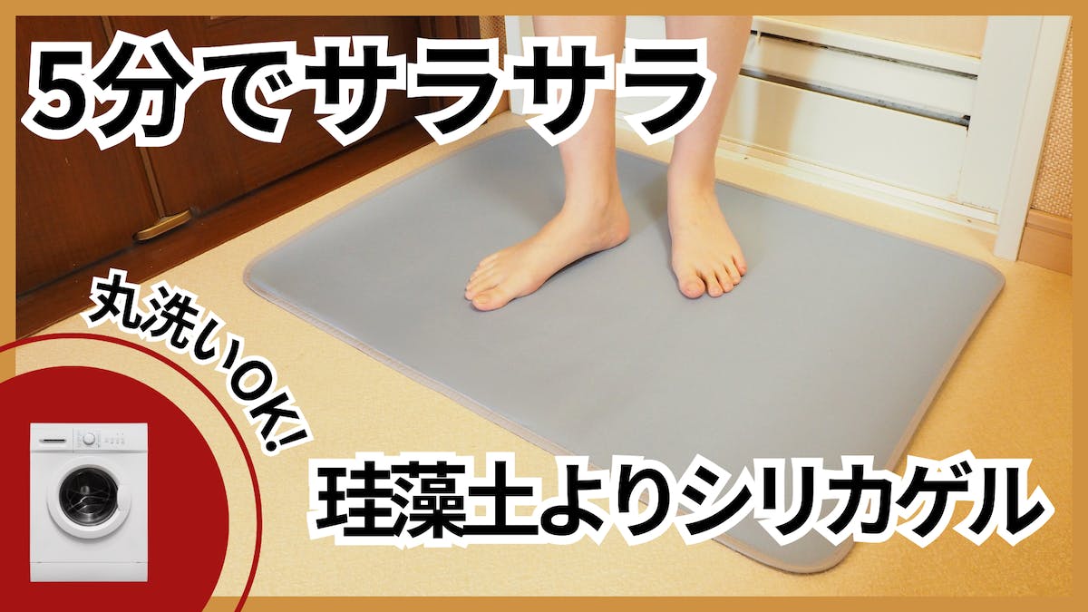 先行お知らせ】バスマット シルフィーノ3 まもなく始動！ - CAMPFIRE