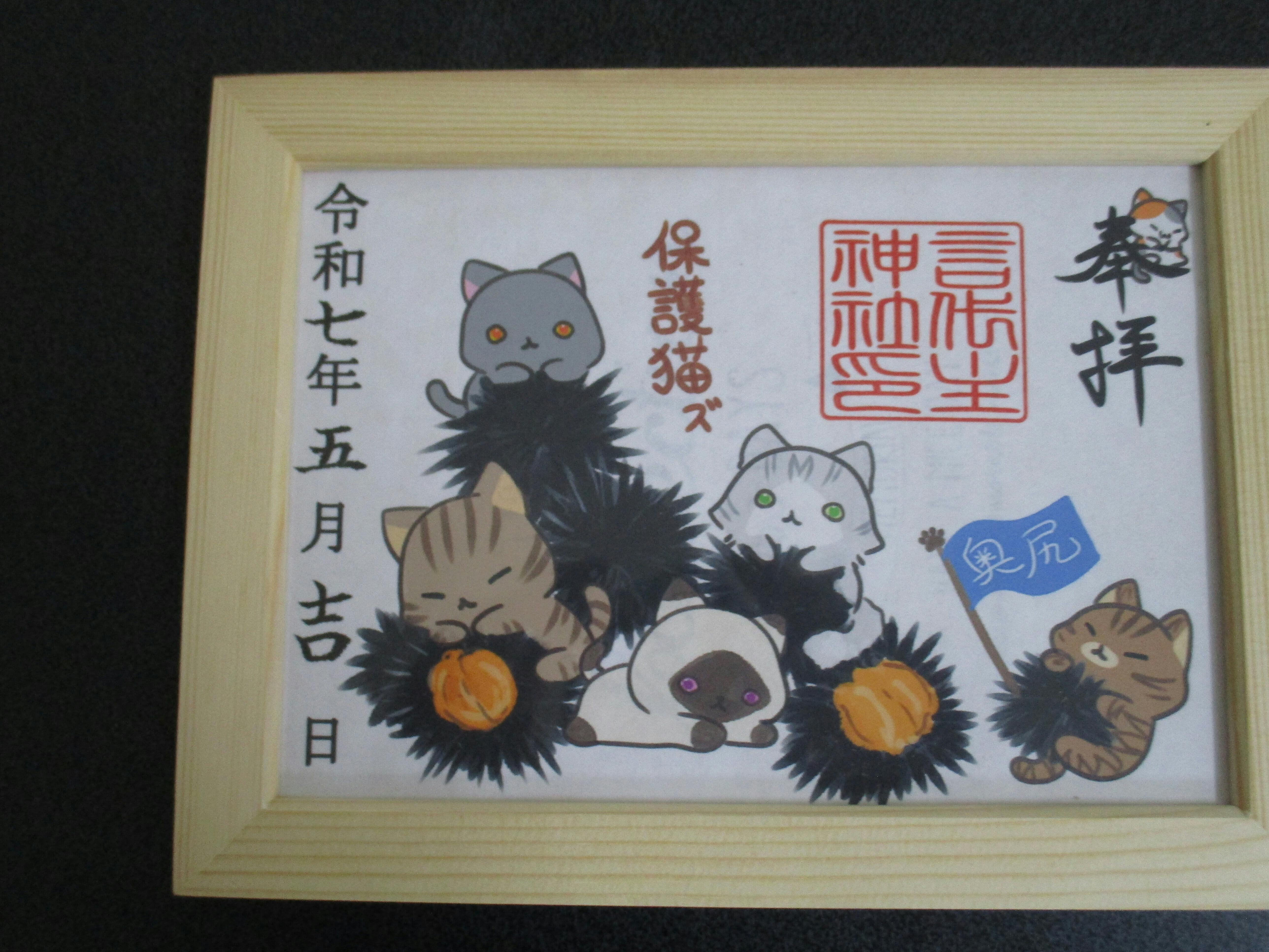 活動報告。 - CAMPFIRE (キャンプファイヤー)