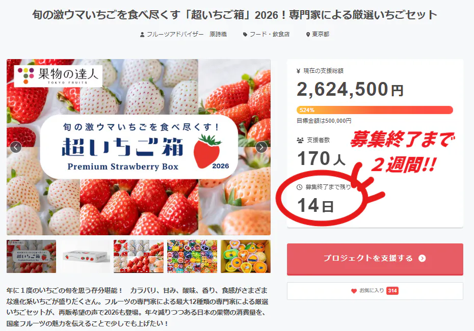 旬の激ウマいちごを食べ尽くす「超いちご箱」2026！専門家による厳選