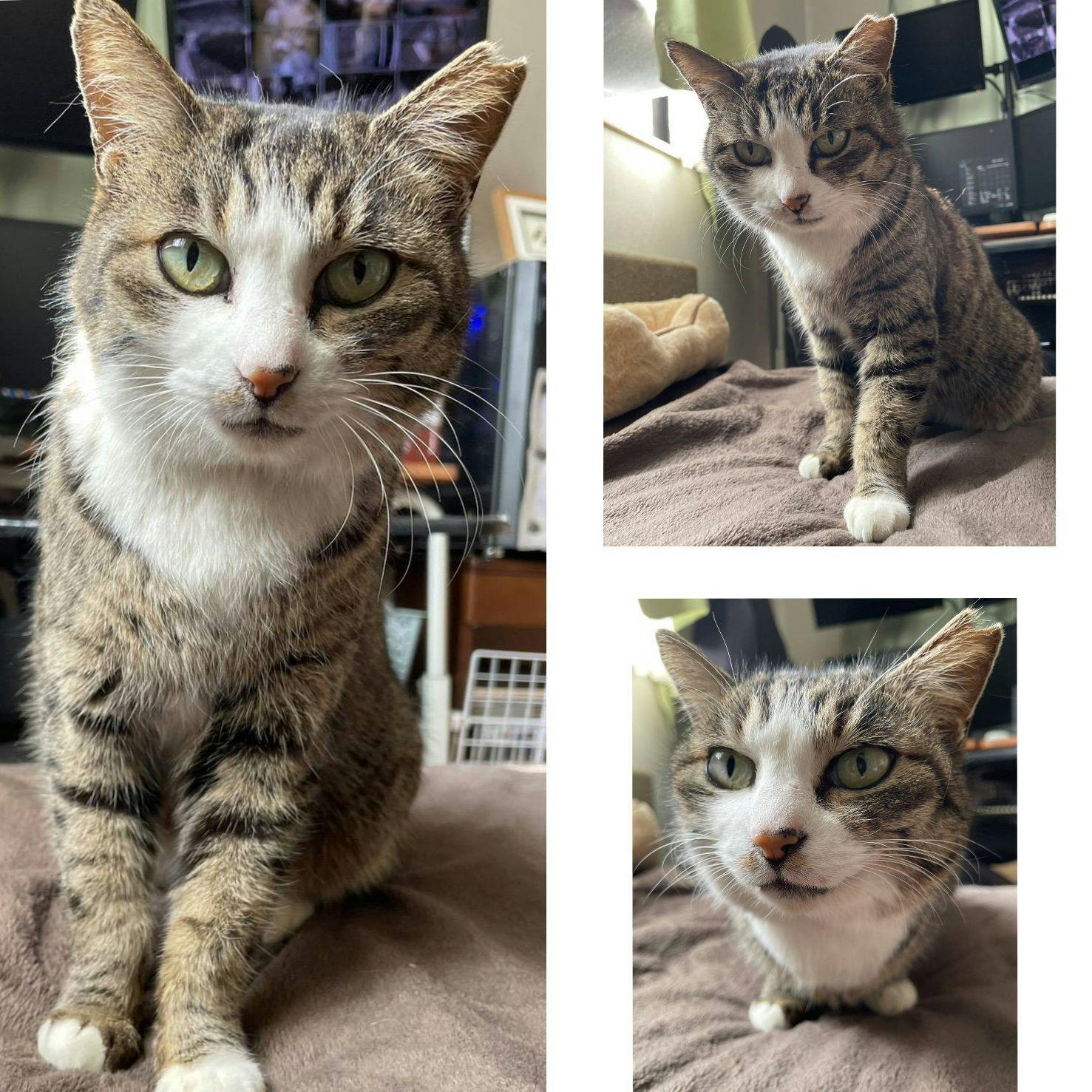 6日目 - CAMPFIRE (キャンプファイヤー)