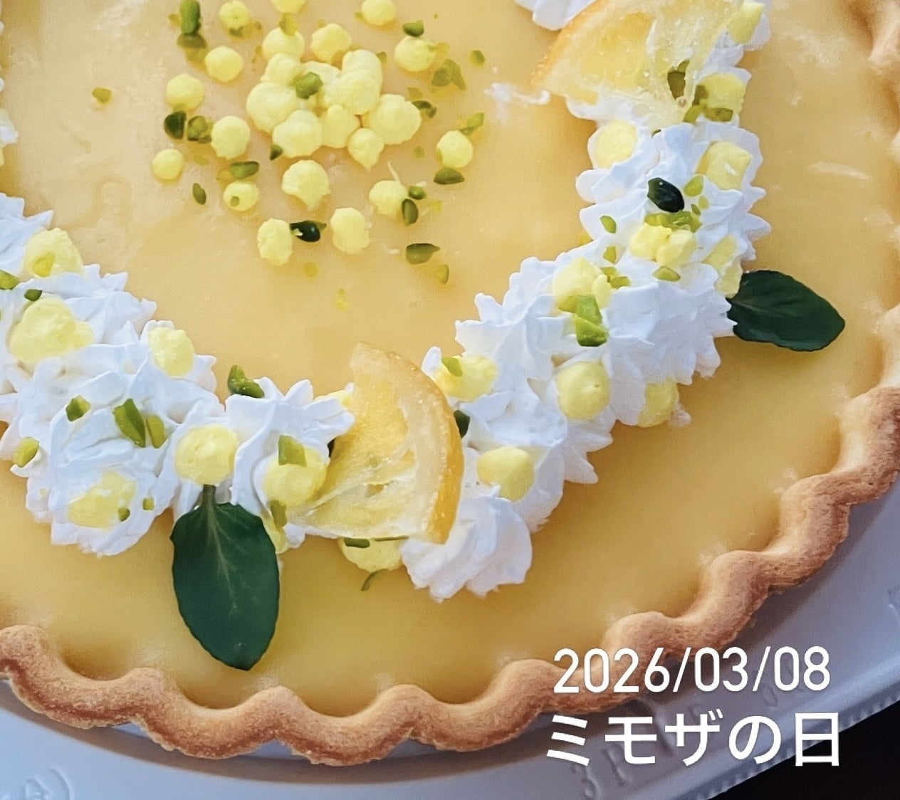 3月8日ミモザの日ーまだまだ工事中です - CAMPFIRE (キャンプファイヤー)
