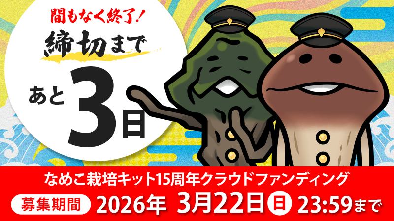 残り3日・ネクストゴール1200万円挑戦中】ぬいぐるみセット試作品を大