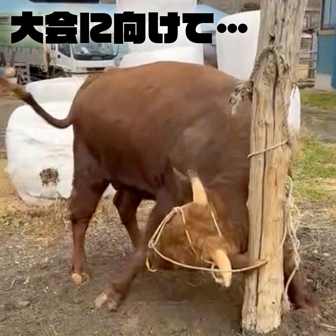 大会に向けて… - CAMPFIRE (キャンプファイヤー)