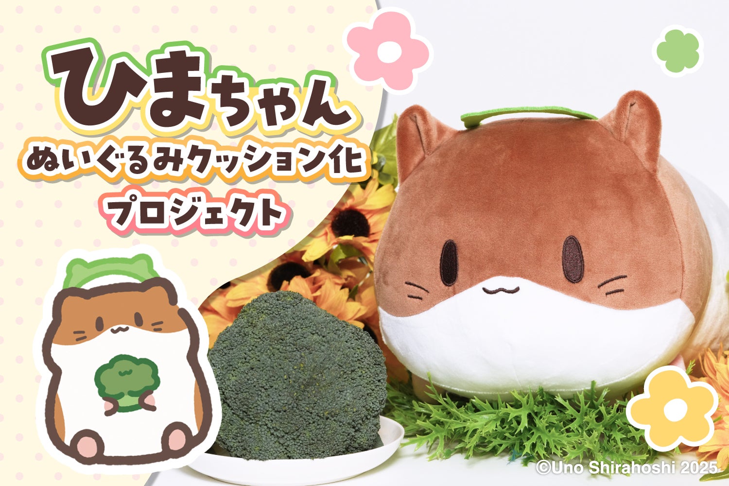 新プロジェクト始動】ひまちゃんがしっとりもちもちクッションに