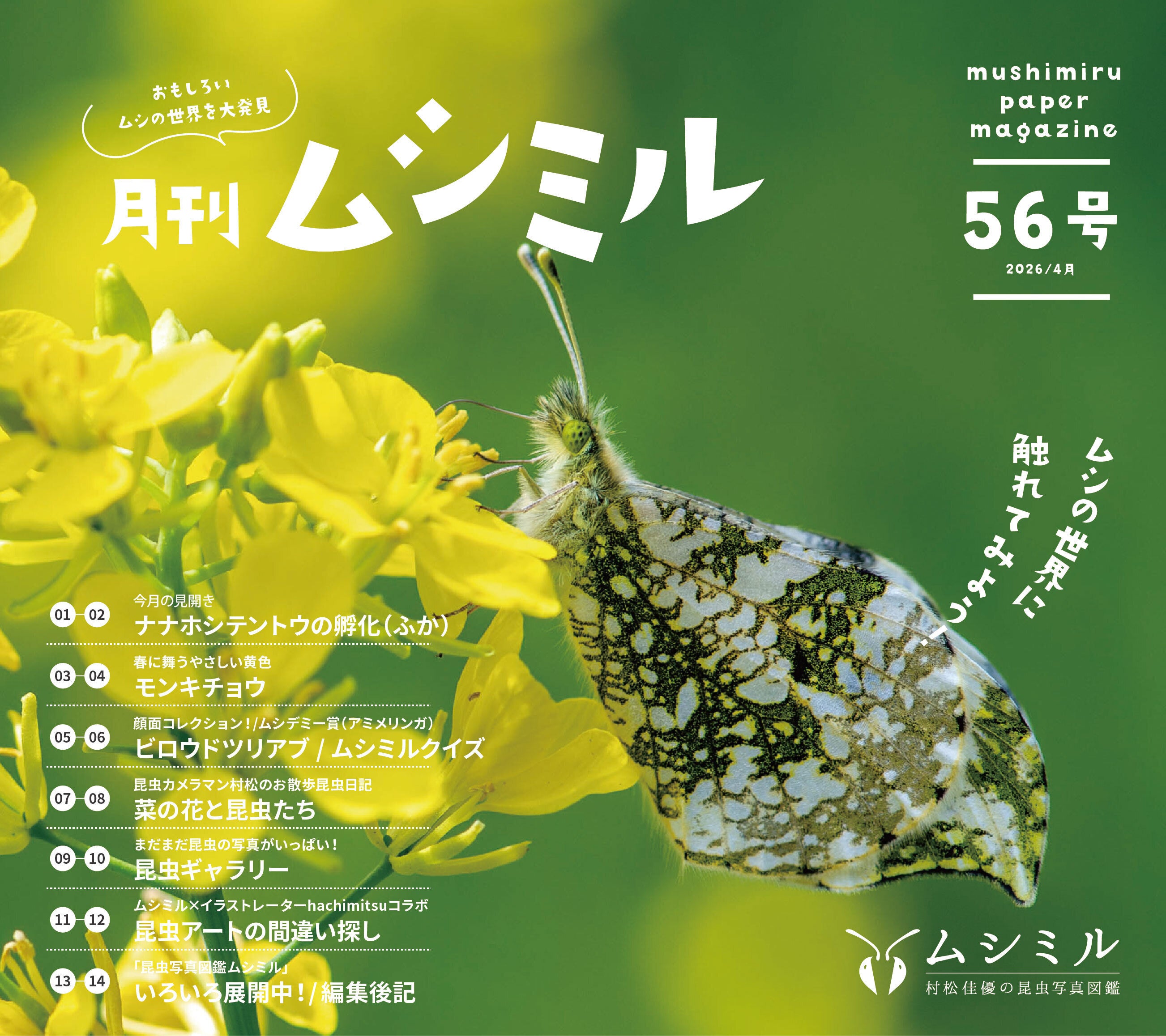 昆虫知る見る「月刊ムシミル」のアクティビティ CAMPFIREコミュニティ