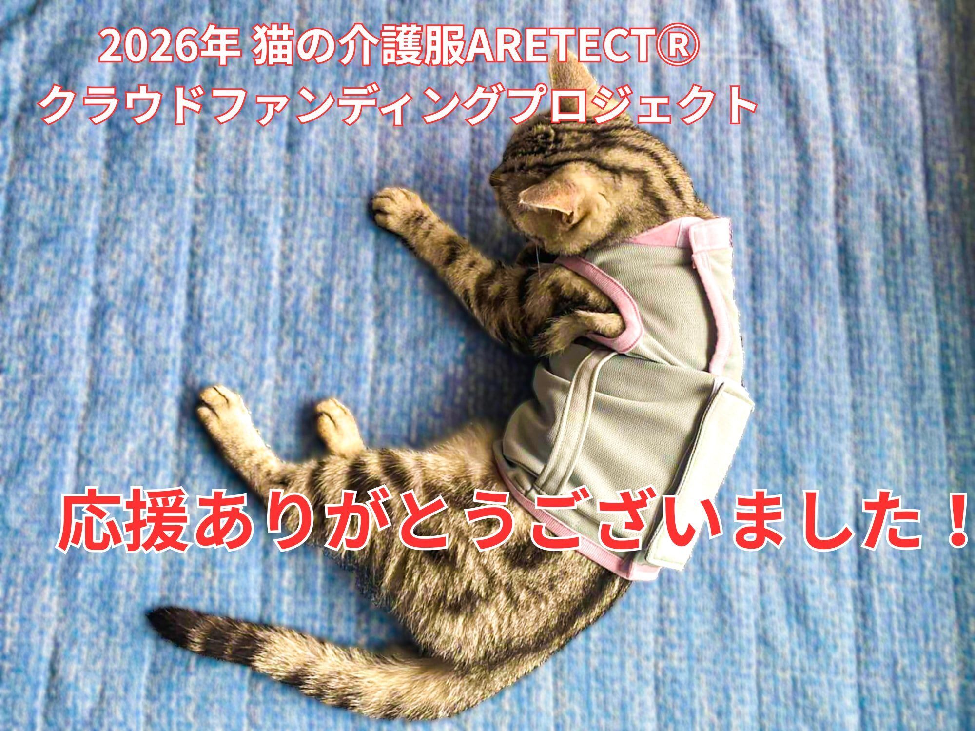 猫の介護服CARETECTⓇプロジェクト・応援頂きありがとうございました