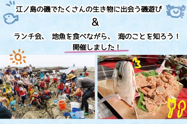 磯の観察会 魚食イベント開催しました Campfire キャンプファイヤー