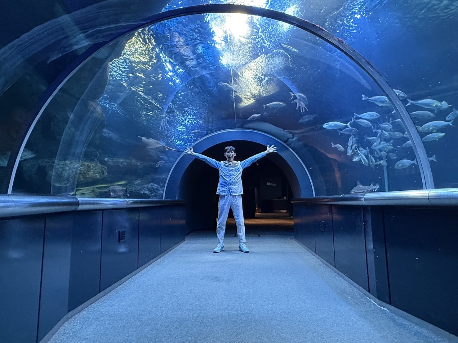 4日目】全国水族館ツアーin東北編レポート - CAMPFIRE (キャンプ