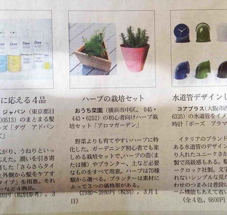 小さな農 をファッショナブルに届けたい ハーブ栽培セット アロマガーデン アクティビティ Campfire キャンプファイヤー 小さな農 をファッショナブルに届けたい ハーブ栽培セット アロマガーデン アクティビティ Campfire キャンプファイヤー