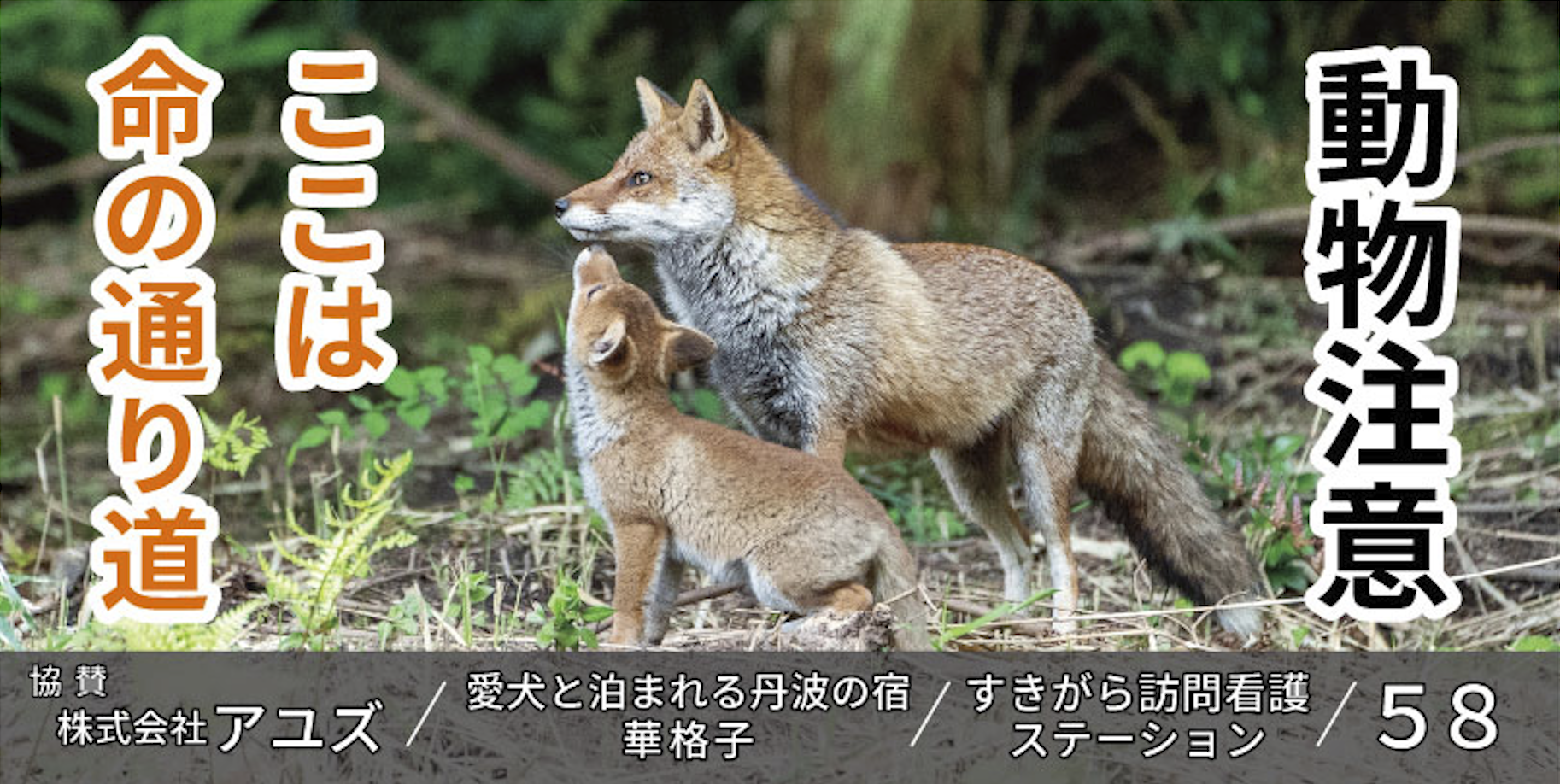 看板デザイン完成のご報告 - CAMPFIRE (キャンプファイヤー)