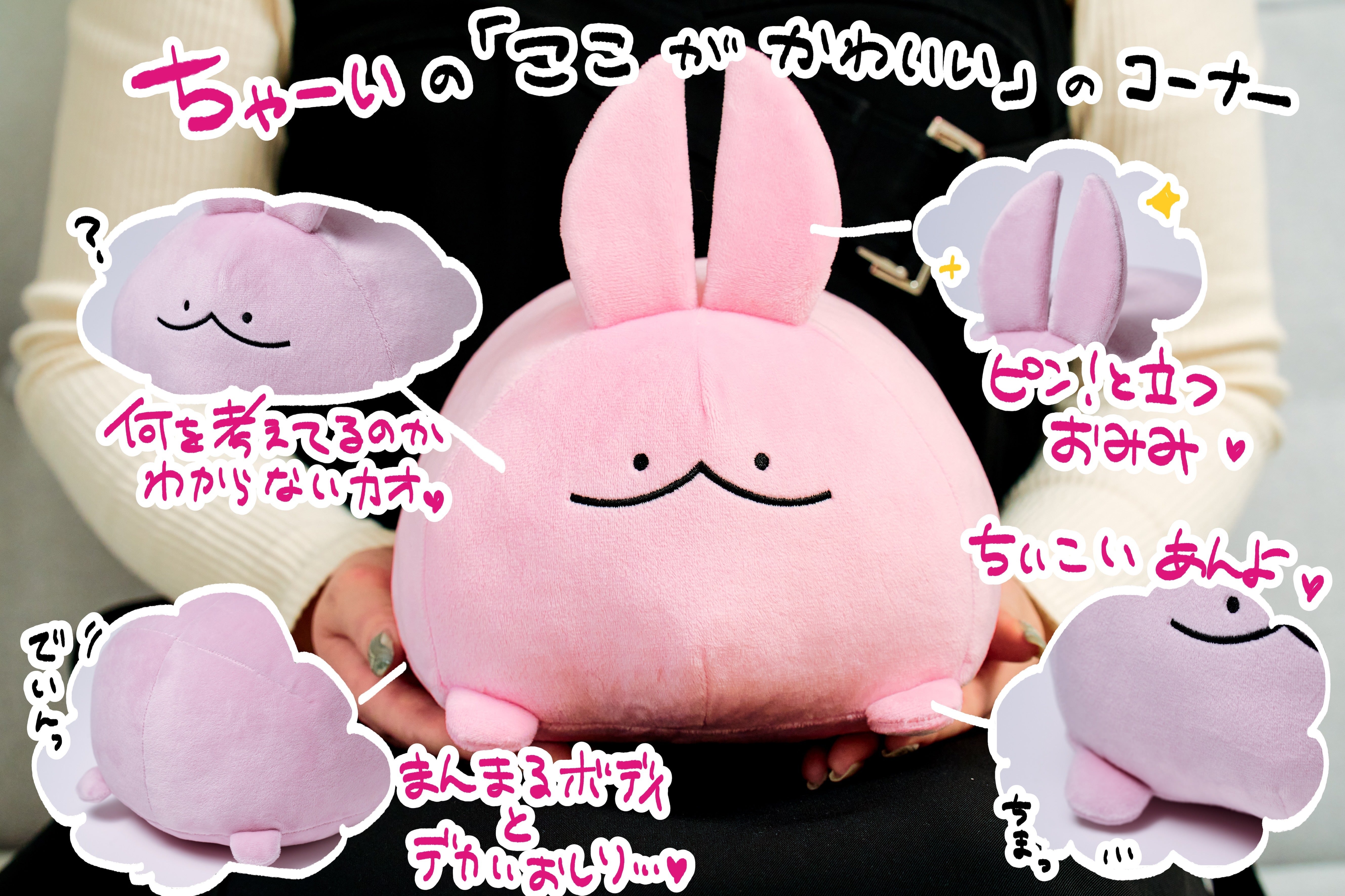 ぬいぐるみの【推しポイント】をご紹介！！ - CAMPFIRE (キャンプ