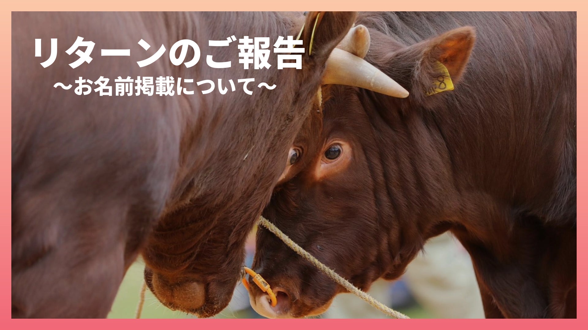 リターンに関するご報告 〜お名前掲載〜 - CAMPFIRE (キャンプファイヤー)