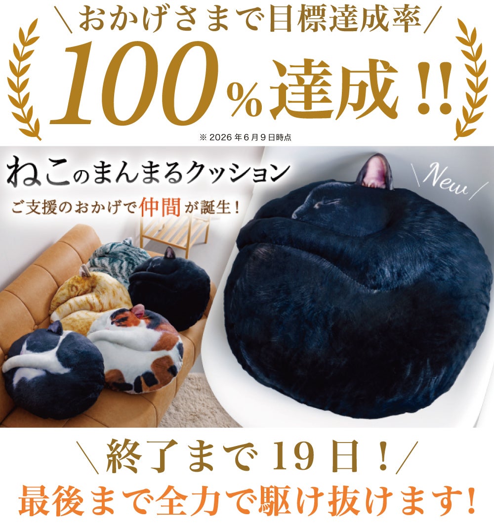 感謝】ついに目標達成率100%突破いたしました！！ - CAMPFIRE