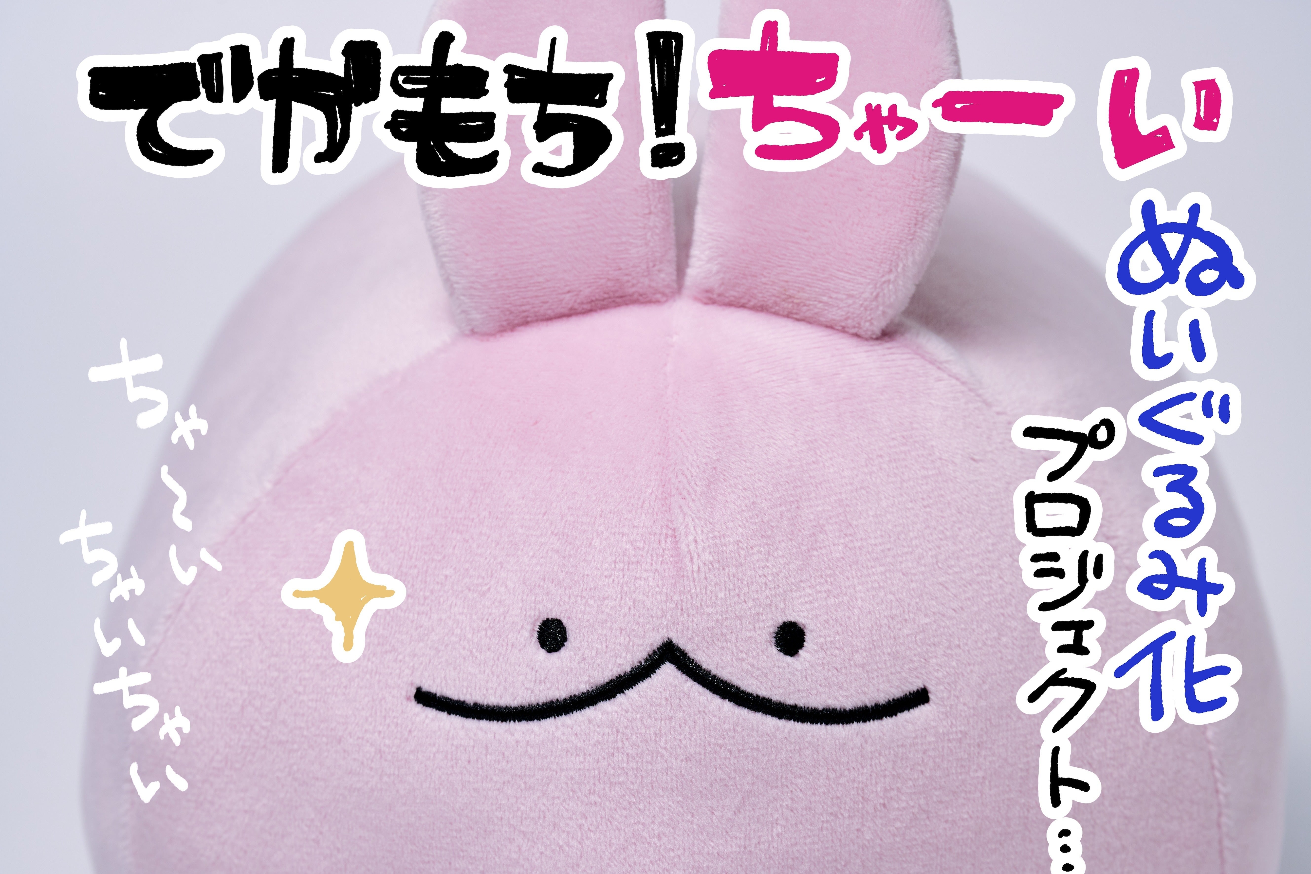 ぬいぐるみ ちゃ でかもち！ちゃーいぬいぐるみ化プロジェクト！ - CAMPFIRE (キャンプ
