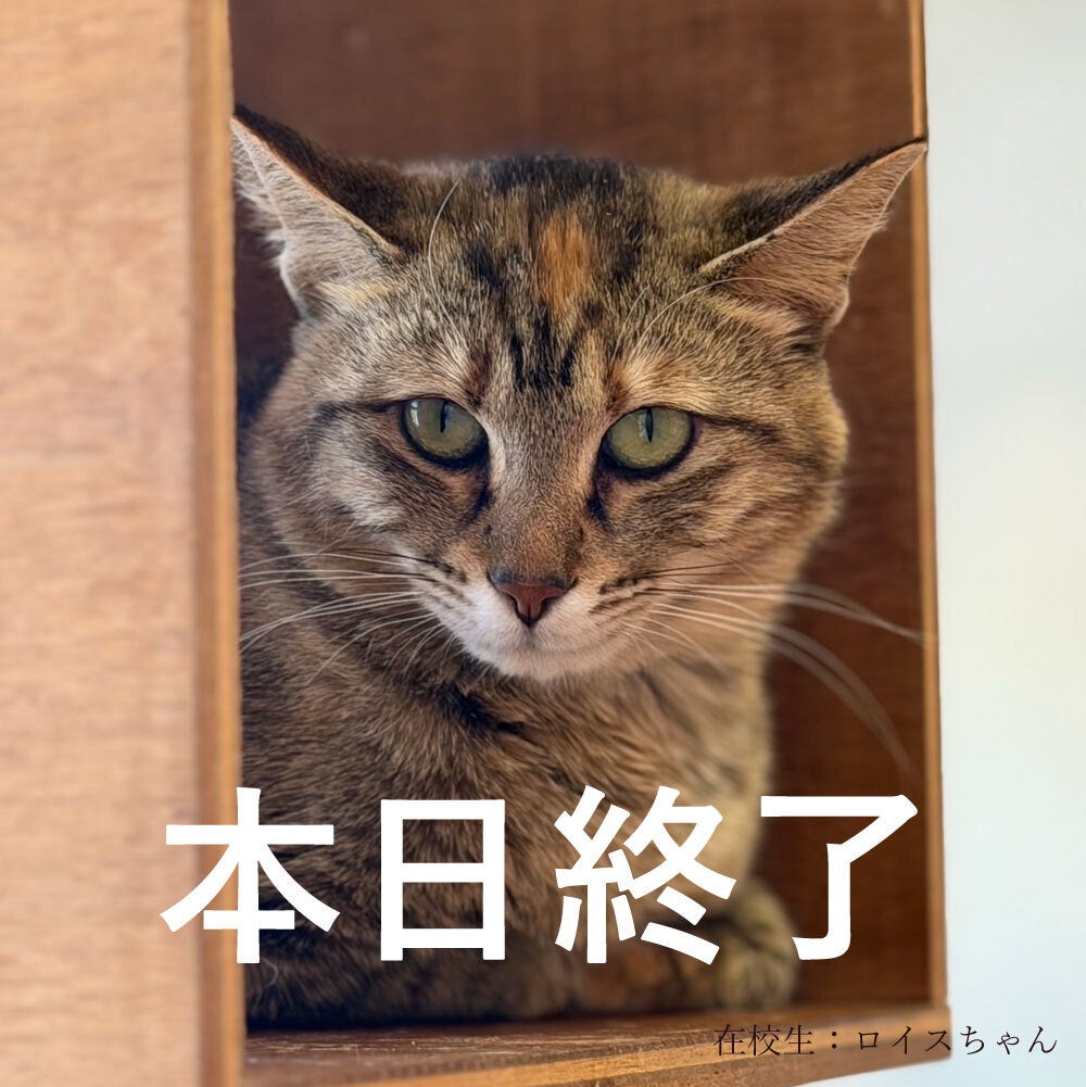 本日終了】いよいよ最終日。 - CAMPFIRE (キャンプファイヤー)