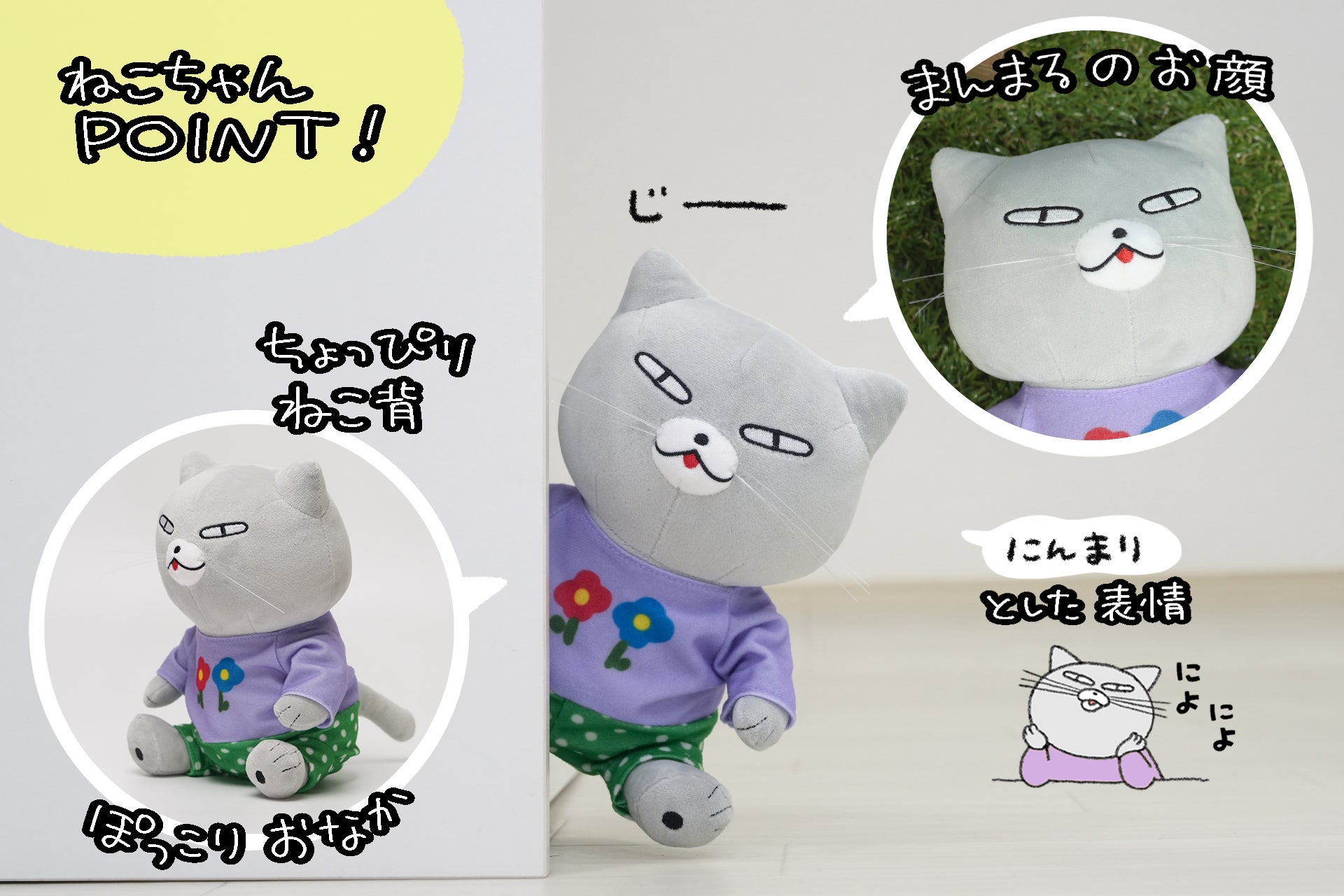 活動報告一覧 - ジョン助ぬいぐるみ化プロジェクト！ - CAMPFIRE