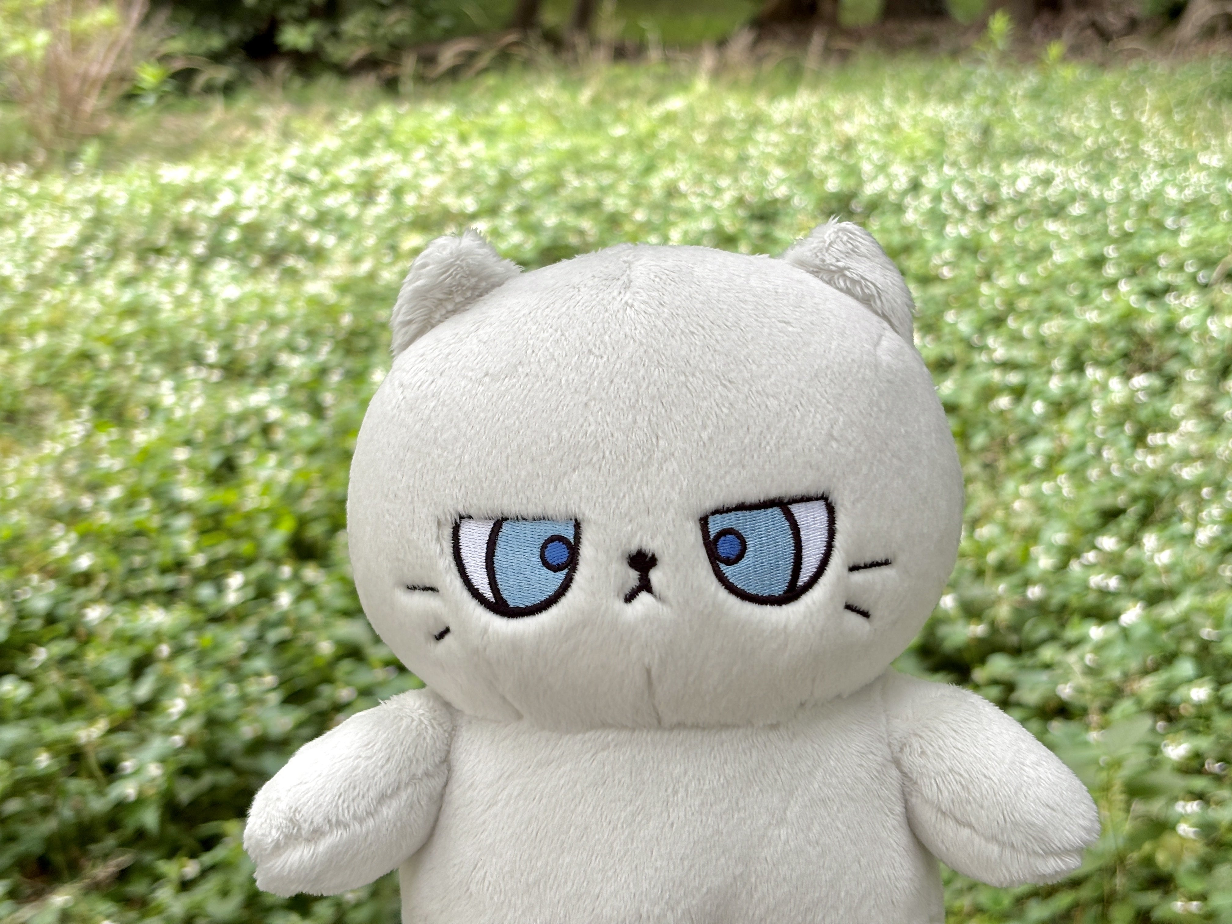 ついにクラファン開始！】 ぎゅっと抱きしめて！つり目ねこぬいぐるみ