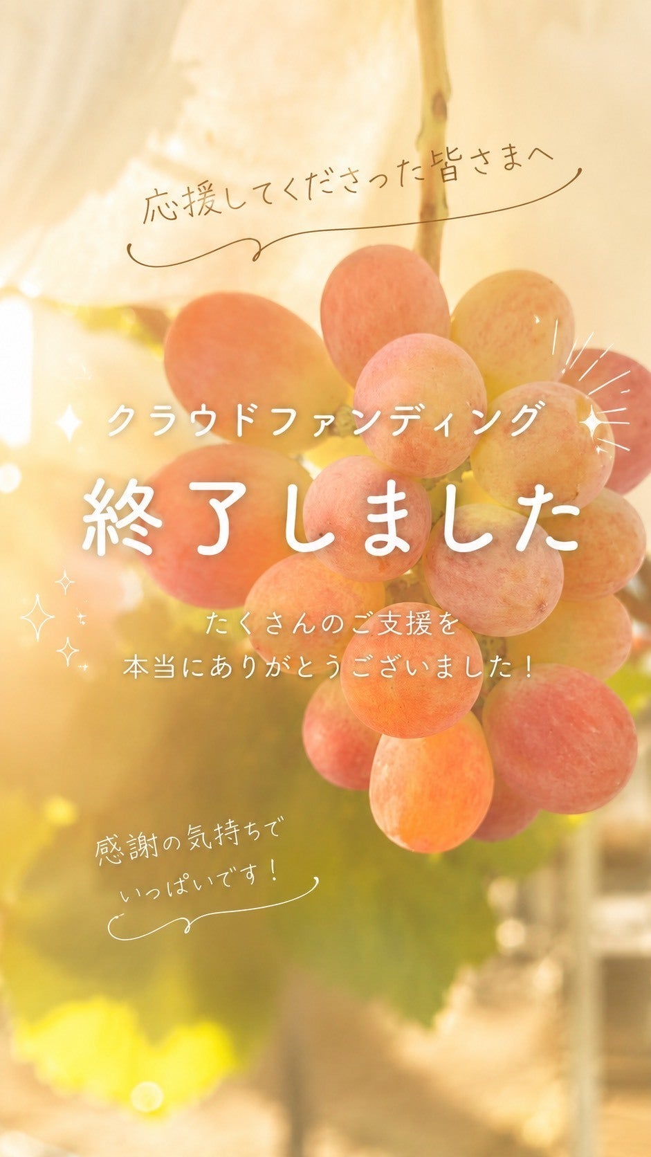 クラウド様　リピートありがとうございます。 クラウドファンディング終了のご報告 - CAMPFIRE (キャンプファイヤー)