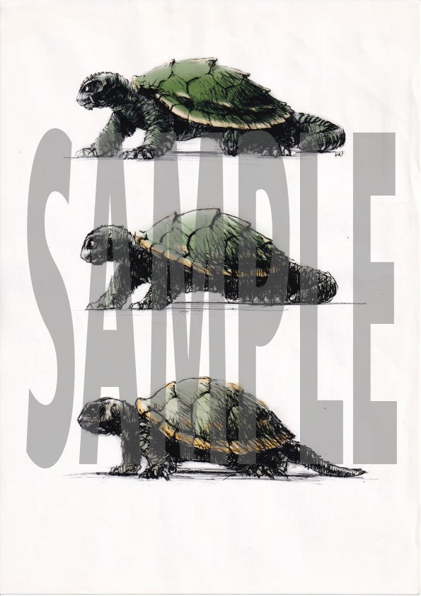 デザイン画アートカード：ガメラセット」の絵柄を公開！｜「ガメラ