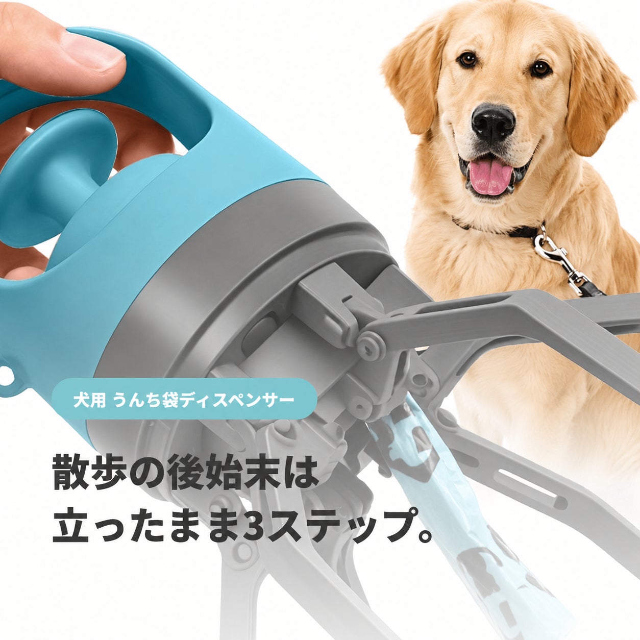 愛犬との散歩に、ひとつ持っておきたい便利アイテム - CAMPFIRE