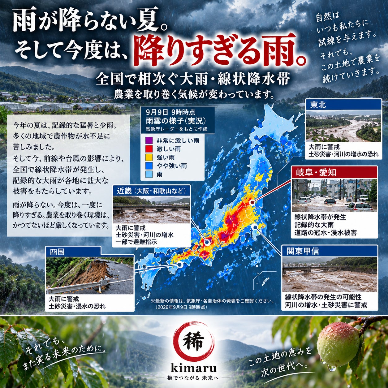 雨が降らない夏。 やっと降った恵みの雨。 しかし今度は、一度に降り
