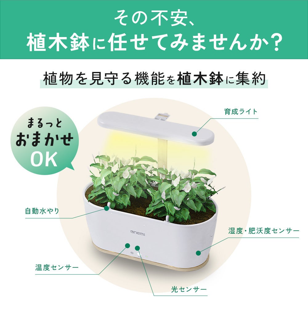 育成環境と出品予定の植物です。 光環境までしっかり管理 - CAMPFIRE (キャンプファイヤー)