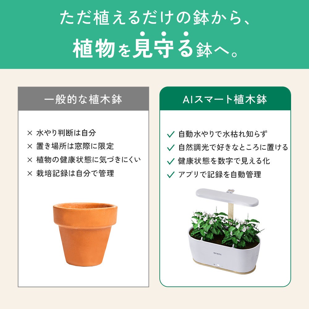 育成環境と出品予定の植物です。 温度管理もスマートに｜AIが植物の成長をスマート管理！水やり・光まで