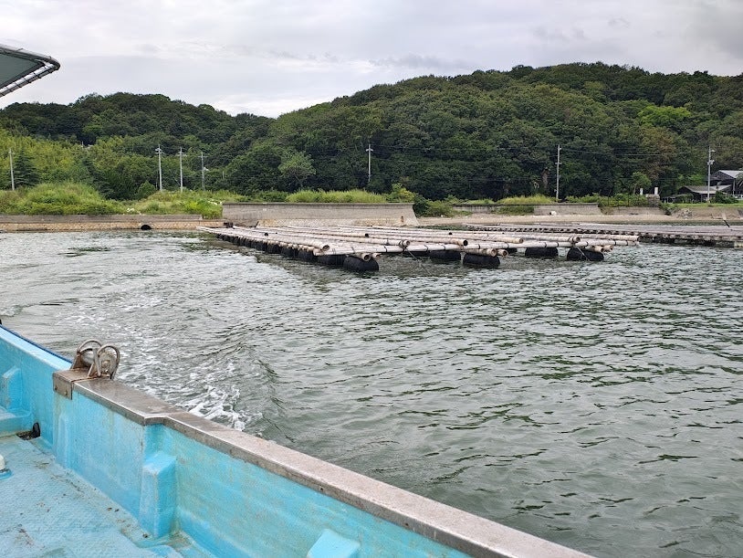 本日 「 阿伽陀 」を 瀬戸内海 尻海（しりみ）の海 牡蠣筏へお酒をつる
