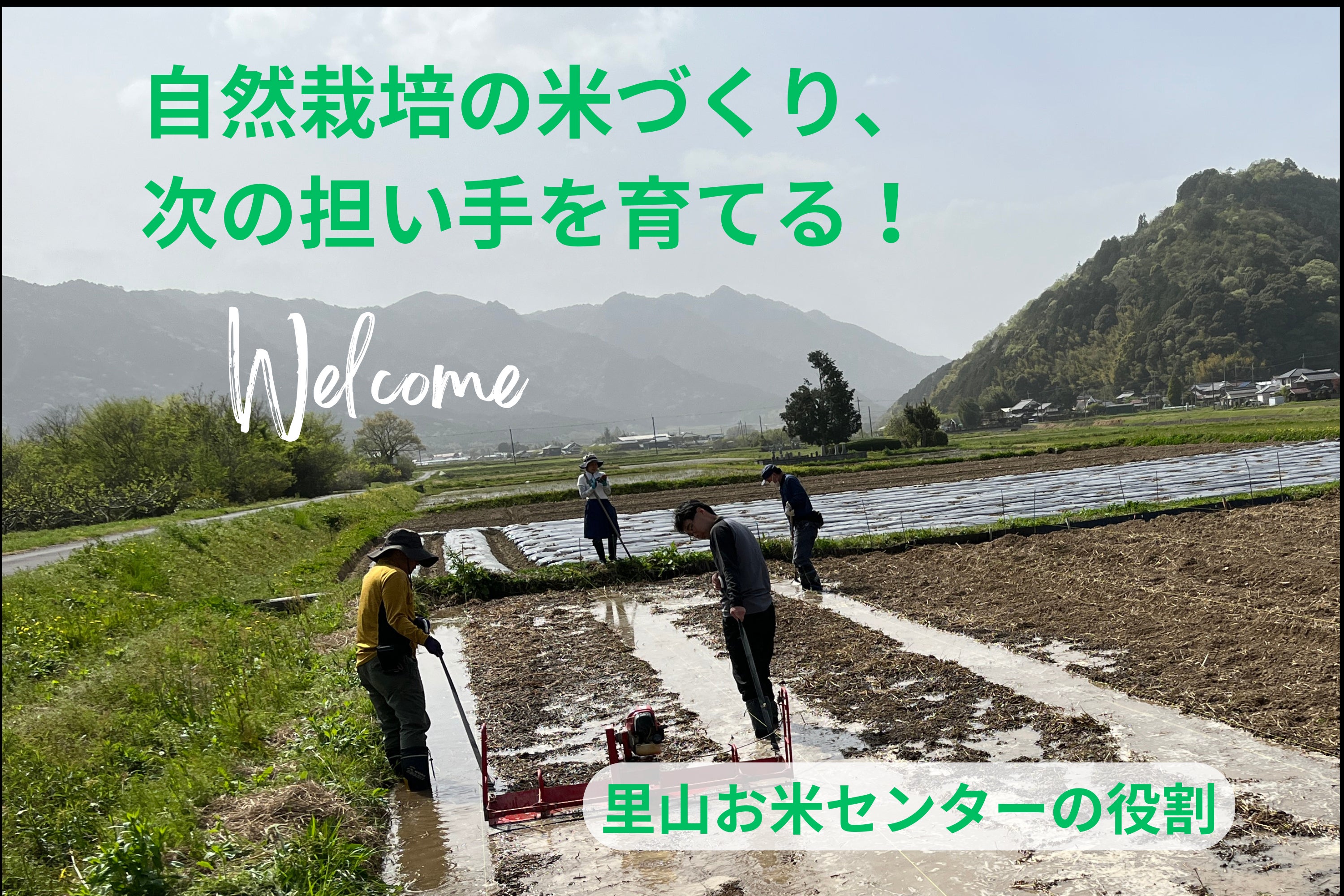 残すところ4日となりました。｜米づくりを次世代へつなぐ 自然栽培