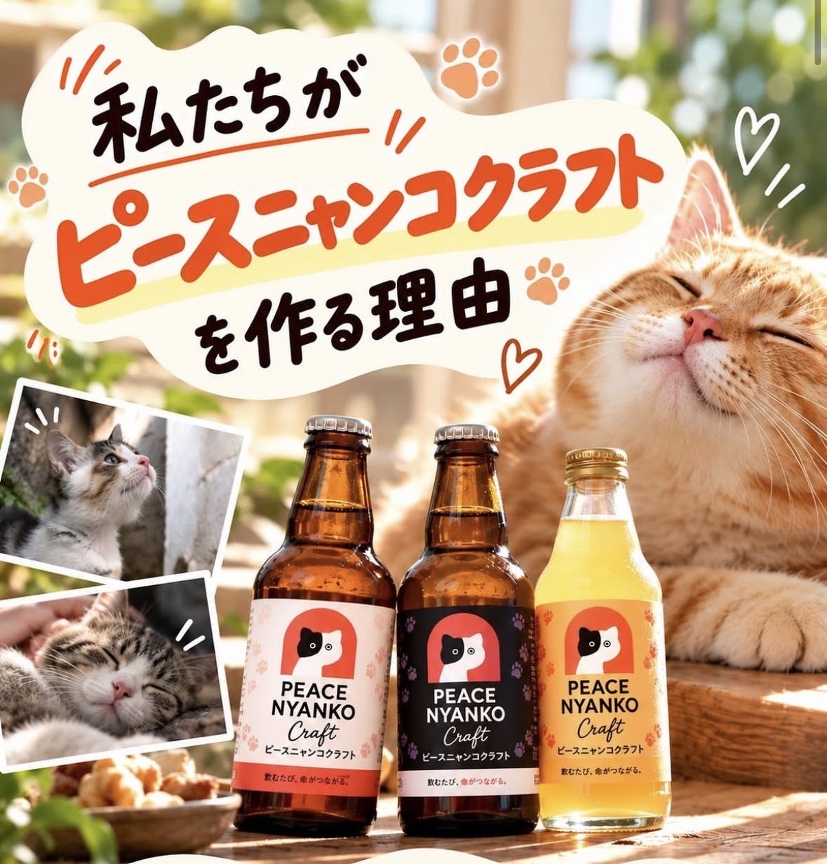 私達がピースニャンコクラフトを作る理由】｜飲むたび、命がつながる