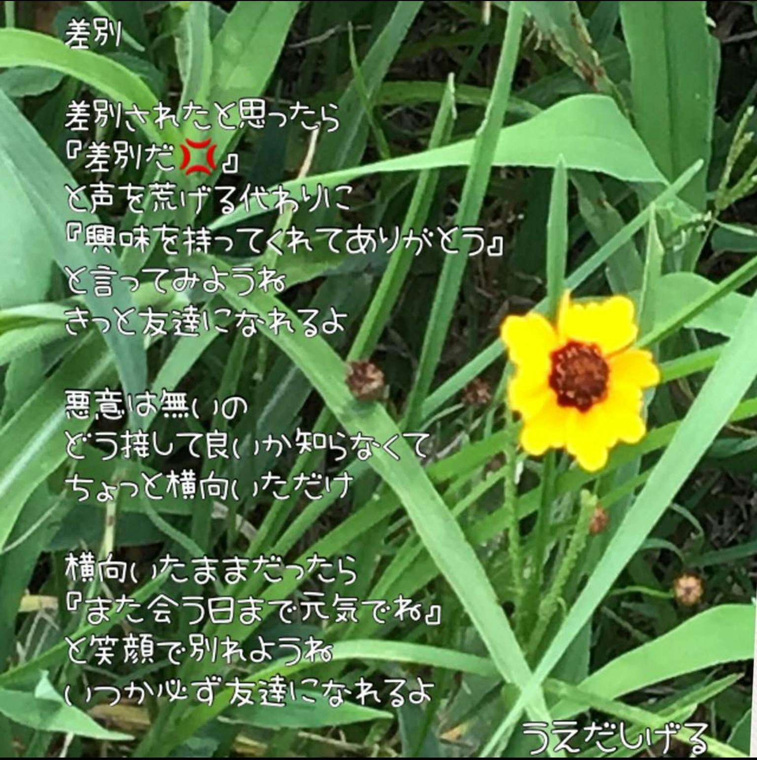 26日目レポート 8月 7日分 詩 差別 詩集 ジグソーパズル 収録作品 Campfire キャンプファイヤー 26日目レポート 8月 7日分 詩 差別 詩集 ジグソーパズル 収録作品 Campfire キャンプファイヤー
