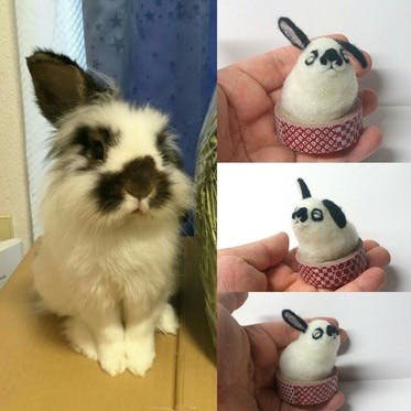 ペットロス支援活動メイキング ウサギ編 Goodmorning By Campfire