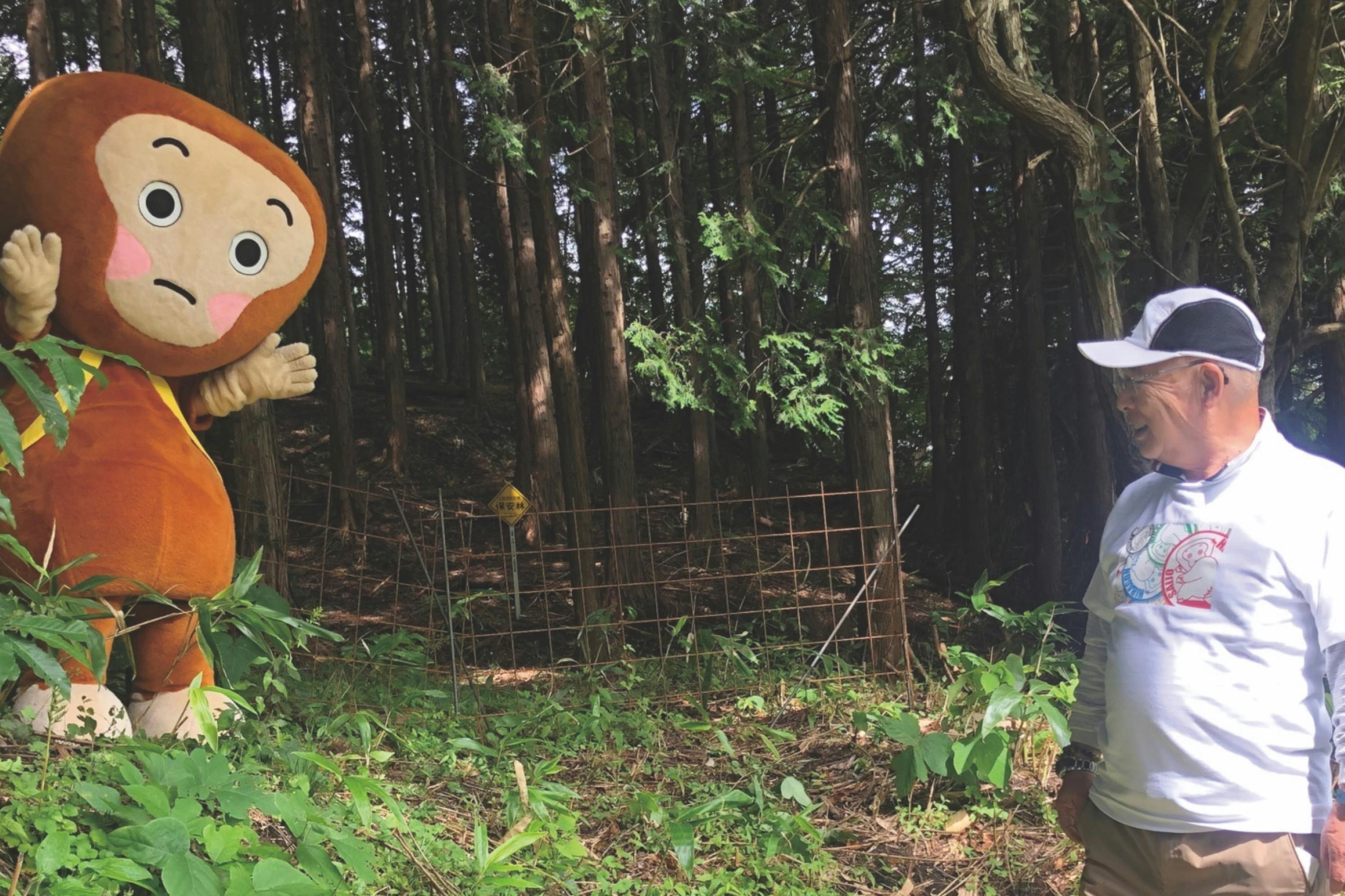 2番目のメイン画像