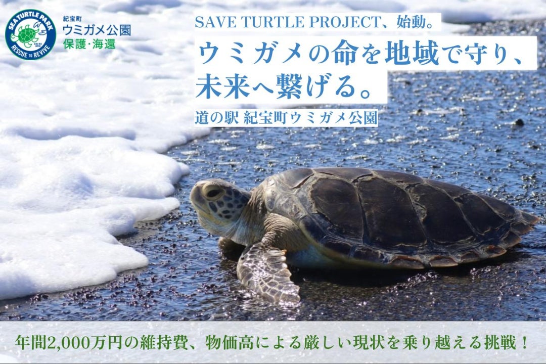 紀宝町ウミガメ公園｜ウミガメの命を地域で守る。持続可能な保護の