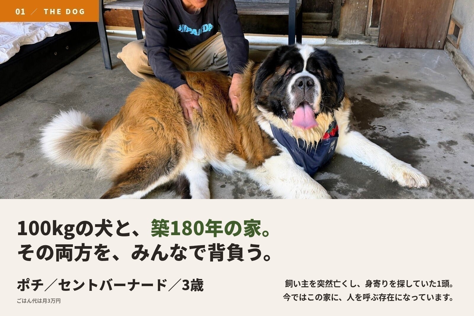 2番目のメイン画像