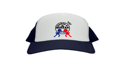 定年退職を迎えたおじいちゃんがボクシングに挑む 全く新しいボクシングストーリー アクティビティ Campfire キャンプファイヤー