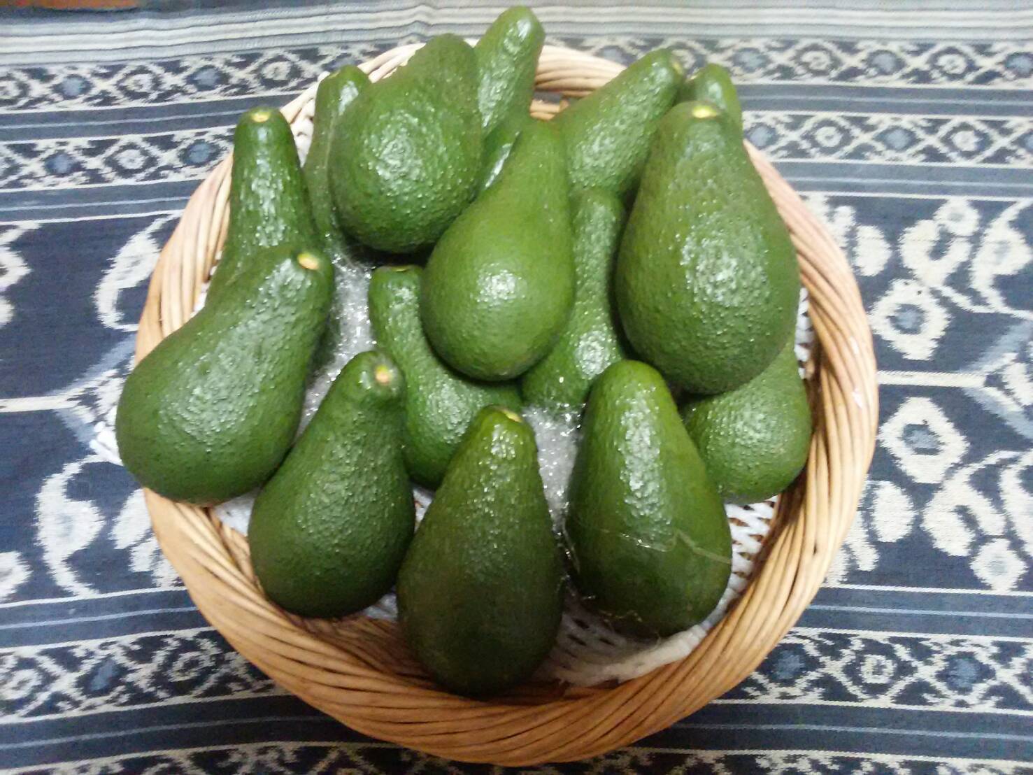 リターン画像