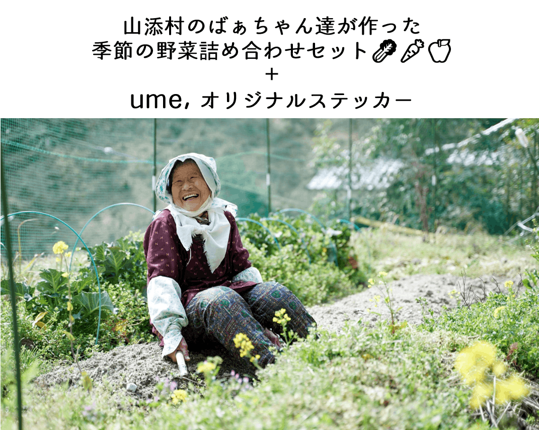 空に浮かぶような宿に 瞑想 和サウナ 雲海外気浴 を作りたい 奈良 Campfire キャンプファイヤー 空に浮かぶような宿に 瞑想 和サウナ 雲海外気浴 を作りたい 奈良 Campfire キャンプファイヤー