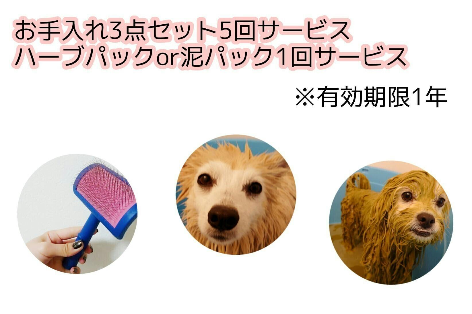 コロナでピンチ 開店したばかりのトリミングサロンを救って下さい Campfire キャンプファイヤー コロナでピンチ 開店したばかりのトリミングサロンを救って下さい Campfire キャンプファイヤー