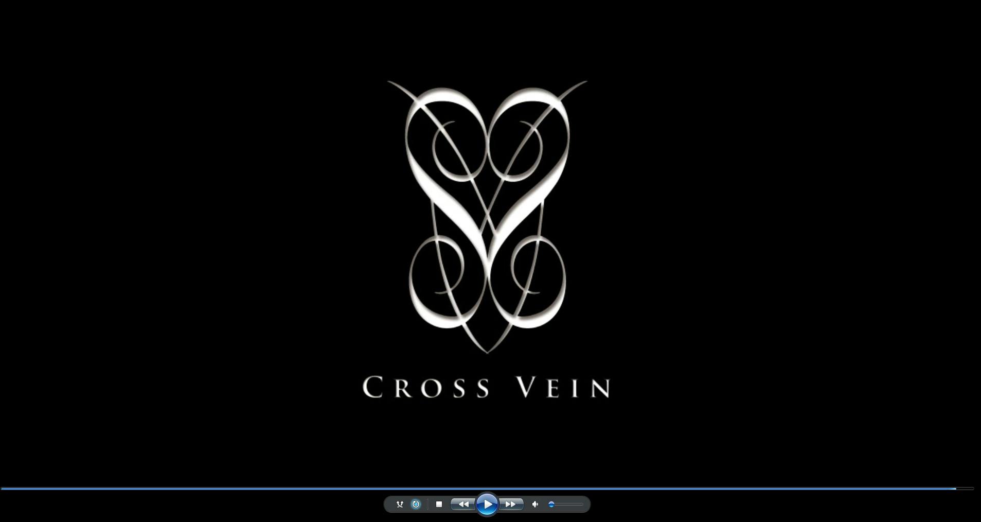 貴方の支援でCROSS VEINのライブをDVDにしよう！ - CAMPFIRE (キャンプ