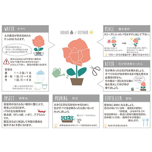 キャンプファイヤー