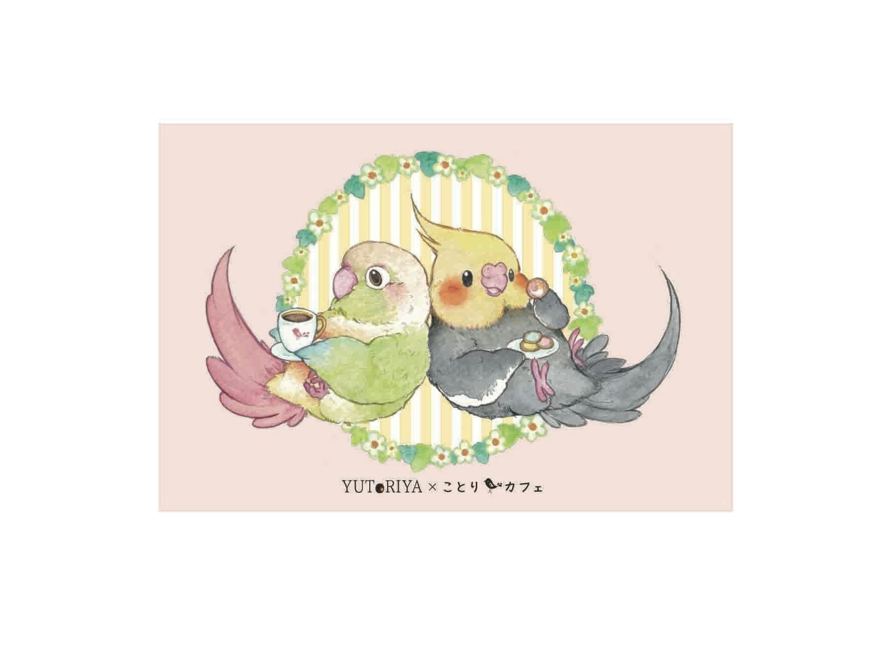 コロナに負けない 小鳥の楽園 ことりカフェ 継続プロジェクトへのコメント Campfire キャンプファイヤー コロナに負けない 小鳥の楽園 ことりカフェ 継続プロジェクトへのコメント Campfire キャンプファイヤー