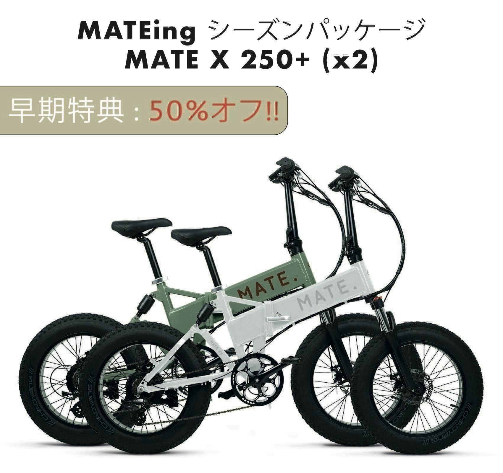 MATE X 250+スロットル バイク