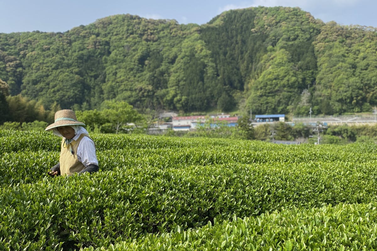 リターン画像