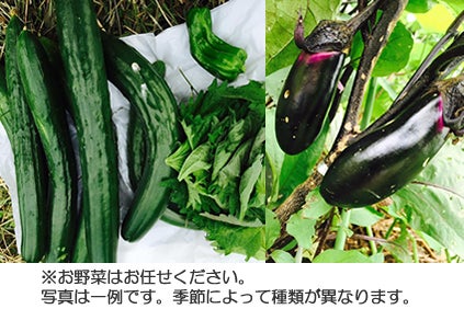 リターン画像